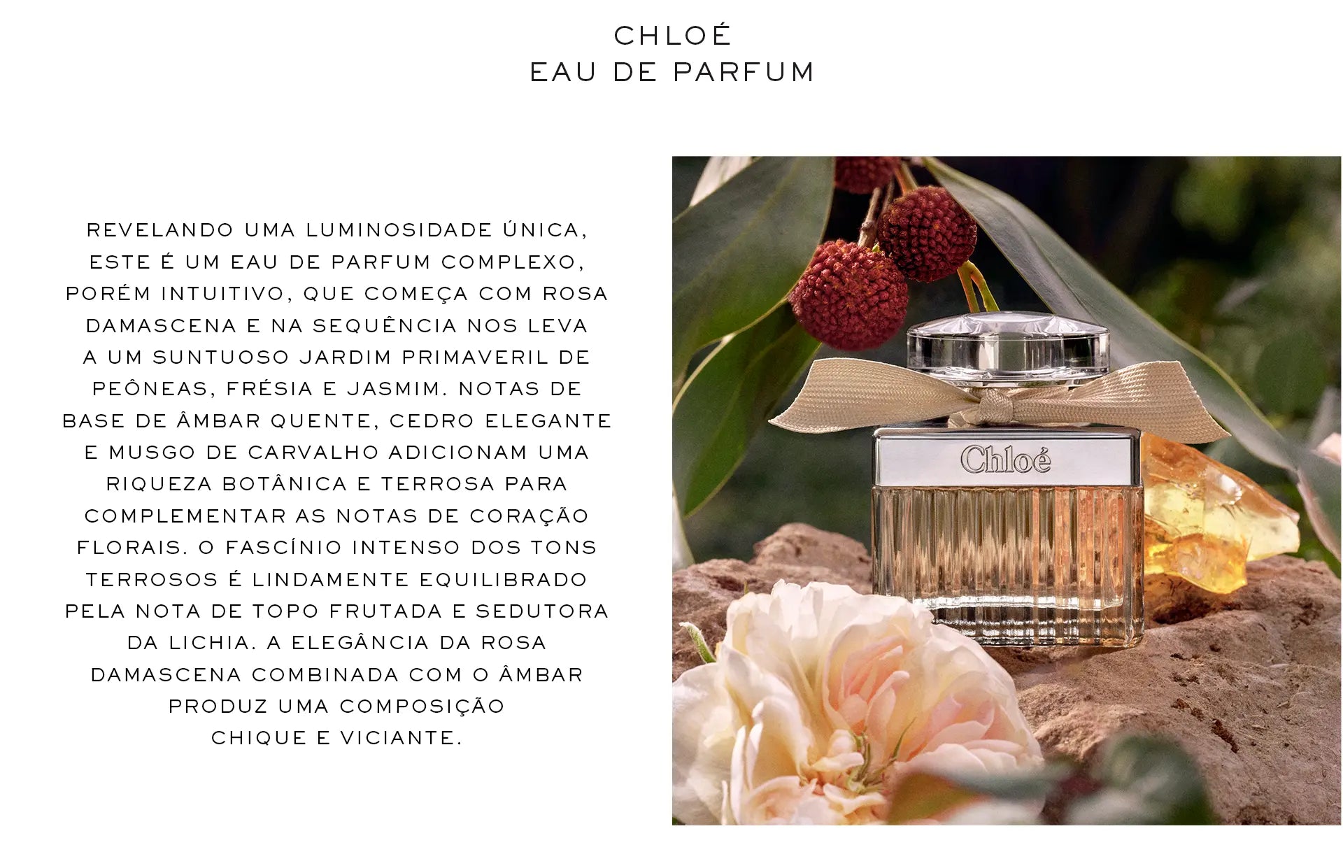 Chloé Signature Perfume Feminino Eau de Parfum 100ml